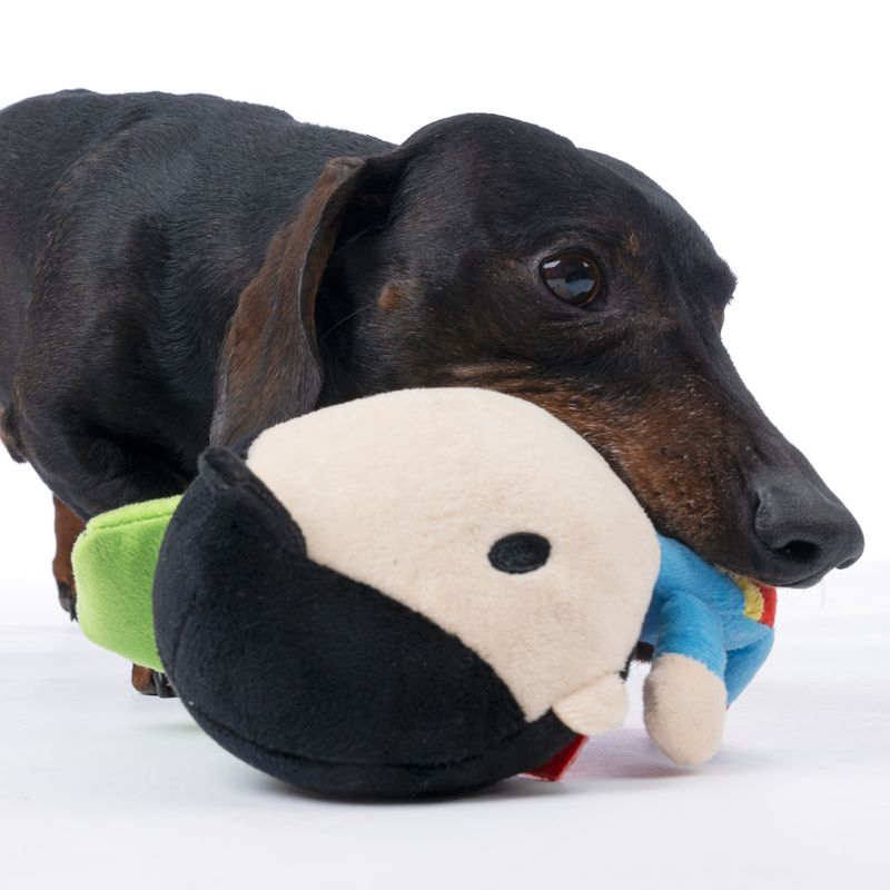 Warner Bros™ DC Superman Rope Dog Toy 22 x 13cm (L x W)