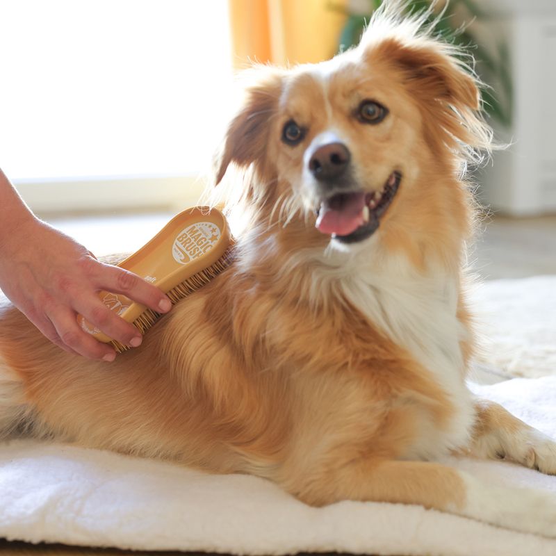 Kerbl MagicBrush Soft Sandstorm for Dogs 16.5 x 6.5 x 3cm (L x W x H)