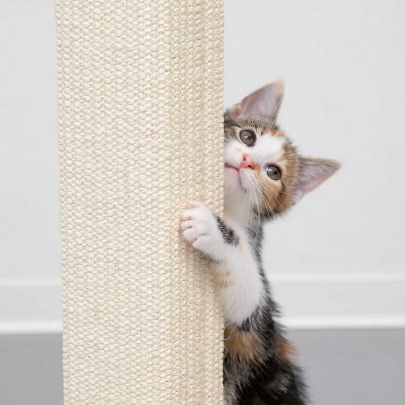 Modern Living Manhattan Scratching Post Cream