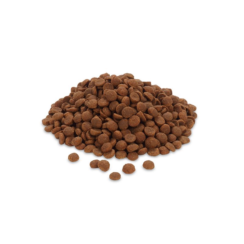 Feringa Adult Sterilised Salmon 400g