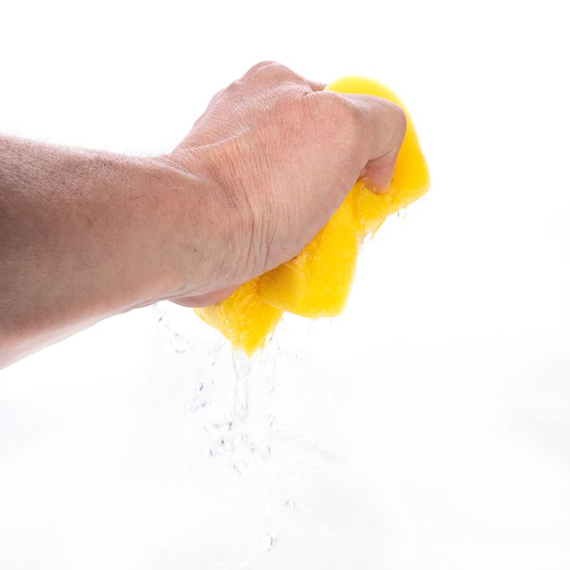 TIAKI Horse Sponge Yellow