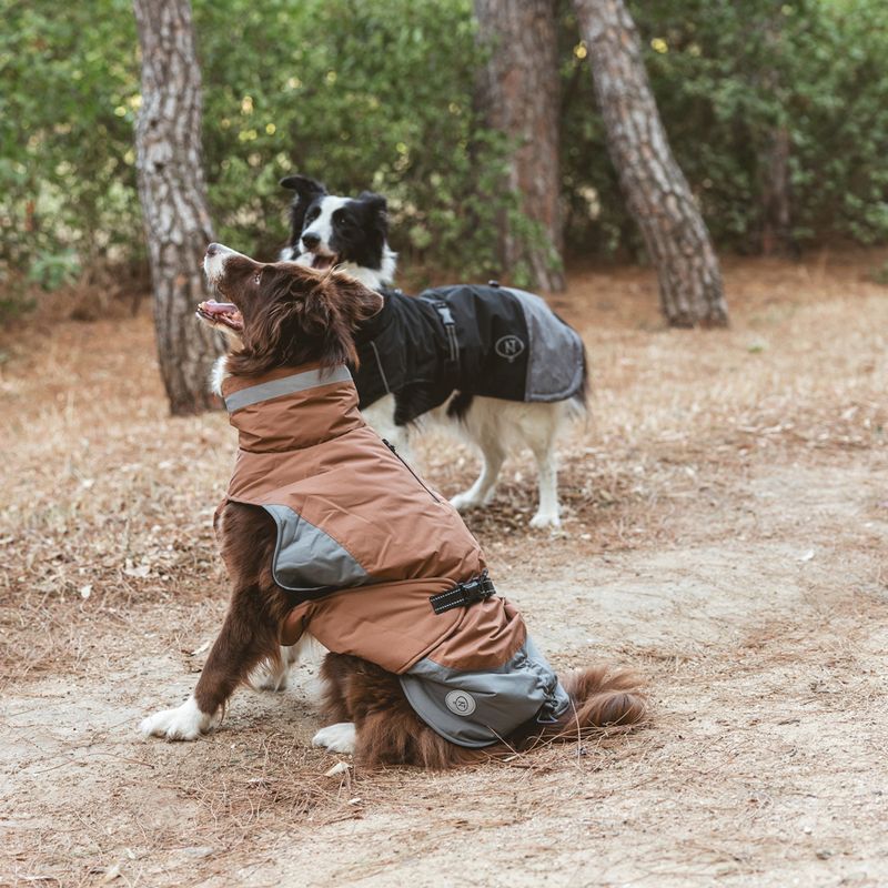 Nomad Tales Bloom Dog Coat - Black approx. 30cm Back Length