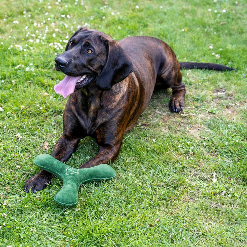 Nomad Tales Blush Plush Boomerang Dark Green