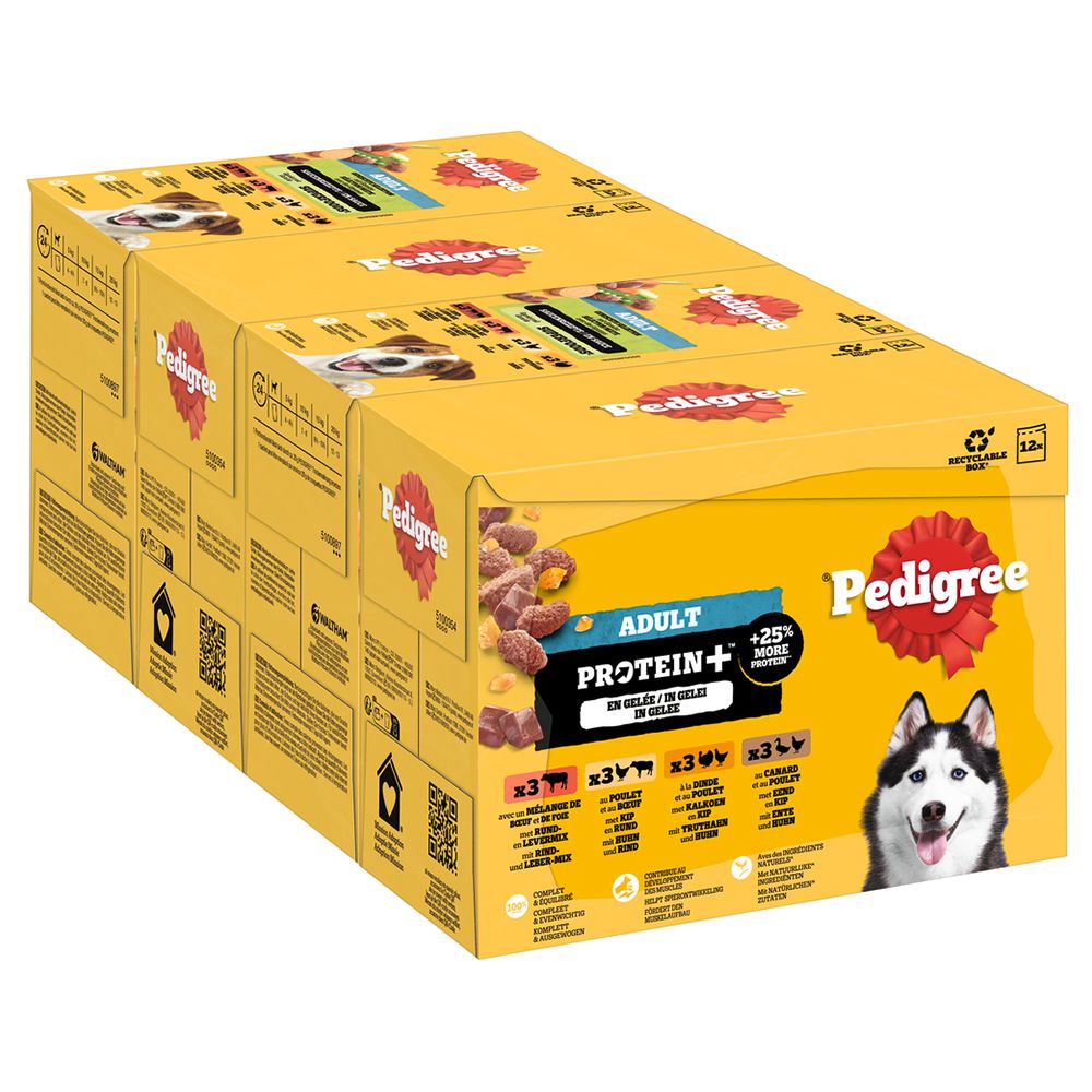 Pedigree Adult Pouch Protein+ in Jelly 12 x 85g (4 Varieties)