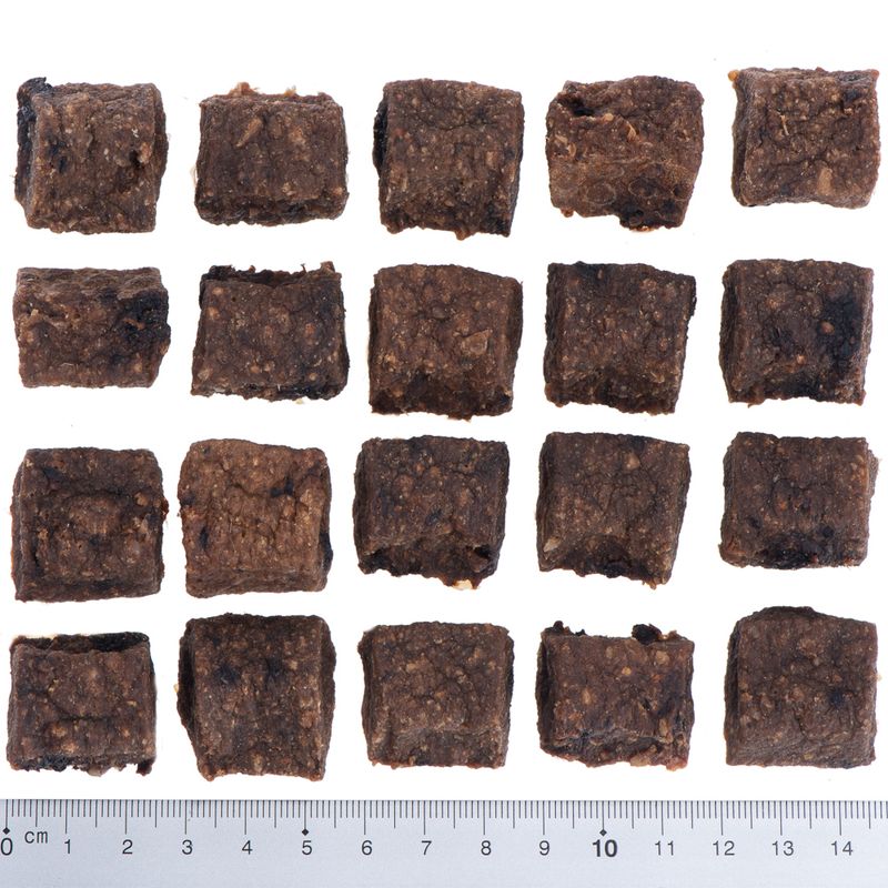 Wolf of Wilderness \