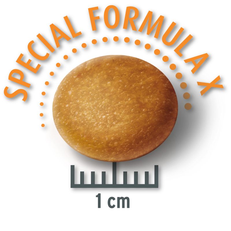 Concept for Life Economy Packs Labrador Sterilised (2 x 12kg)