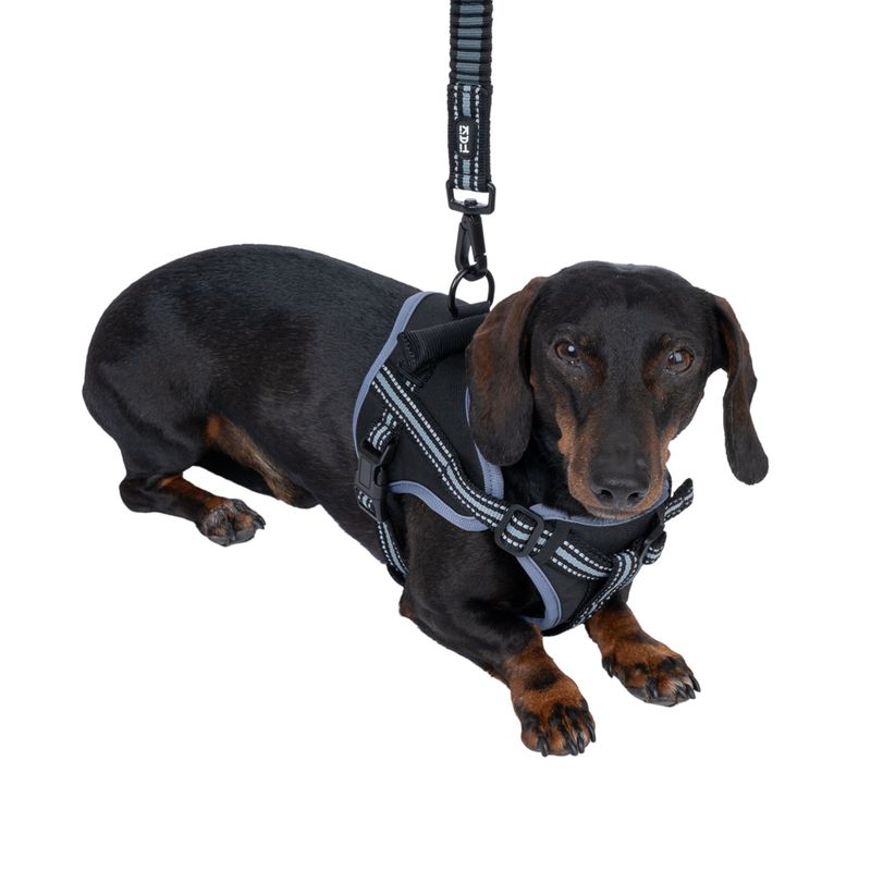 TIAKI Anti-impact Lead Length: approx. 120-160cm