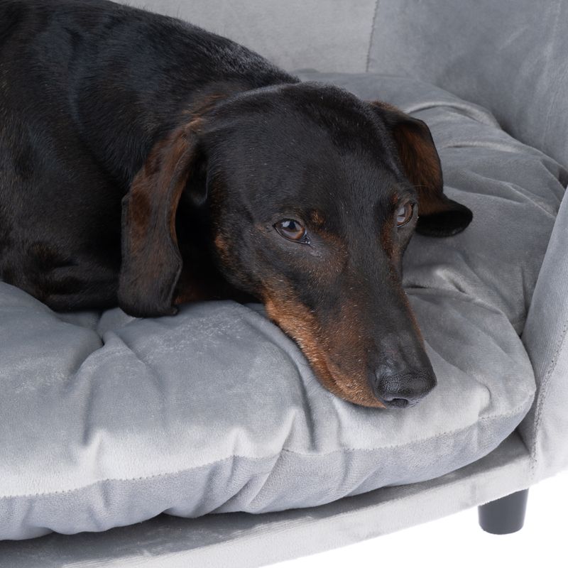 Modern Living Nashville Dog Sofa 1 Sofa