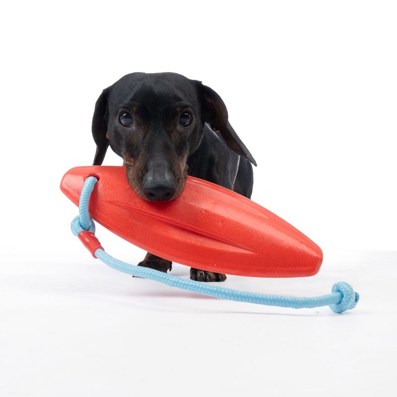 TIAKI Surfboard Dog Toy 55.5 x 10 x 5 cm (L x W x H)