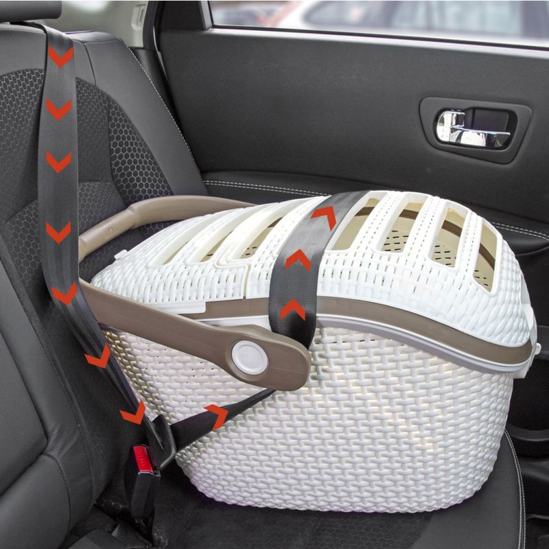 Curver Transport Box W 51 x D 38 x H 33 cm - white