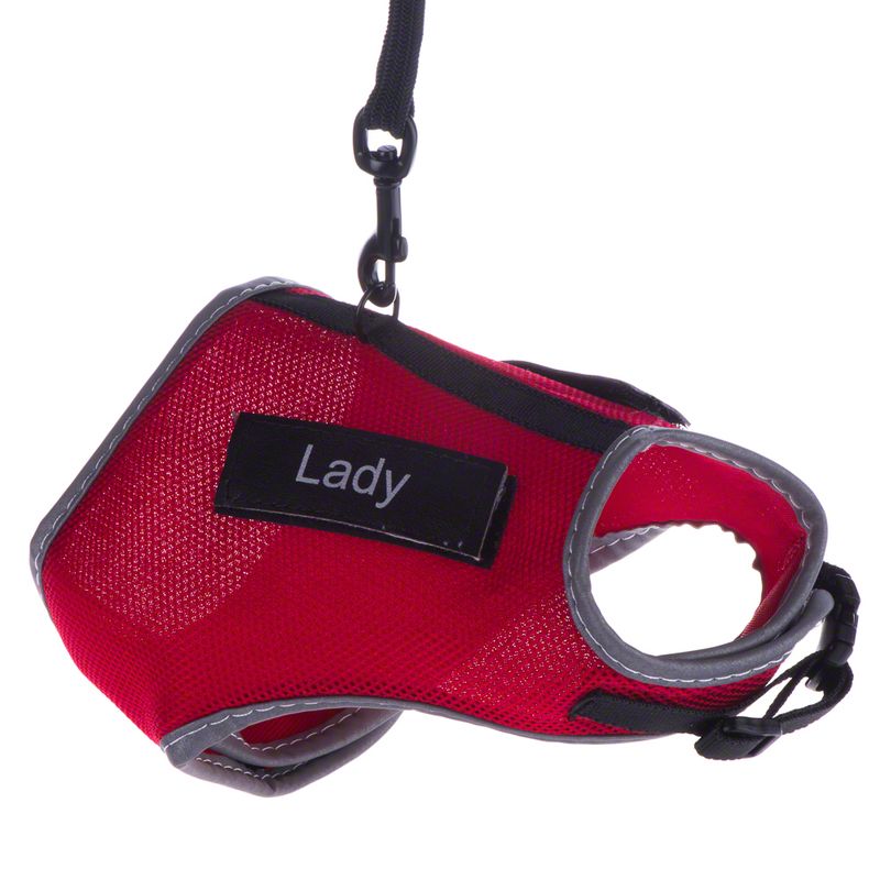 Trixie XCat Harness with Lead and Exclusive Stickers Black