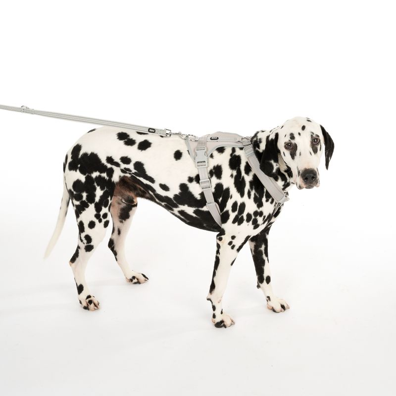 TIAKI Neoprene Harness - Grey Size XS: 28 - 42cm chest circumference