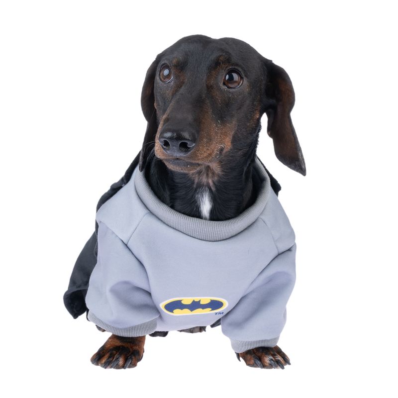 Warner Bros™ DC Batman Dog Costume Size S/M: 35cm Back Length