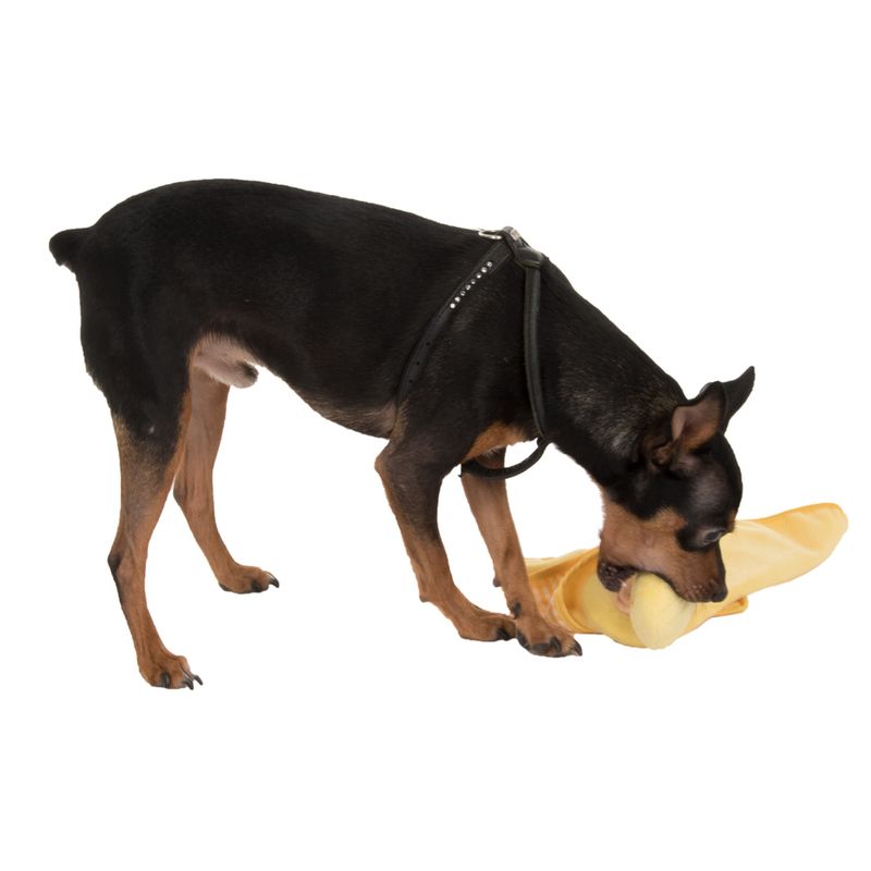 Puppy Blanky Quaxie 30 x 30 cm (L x W)