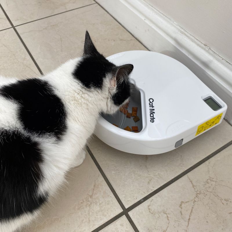 Cat Mate C300 Automatic Feeder 3-Meal Feeder