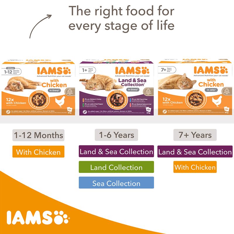 IAMS Advanced Nutrition Adult – Land Collection in Gravy 12 x 85g