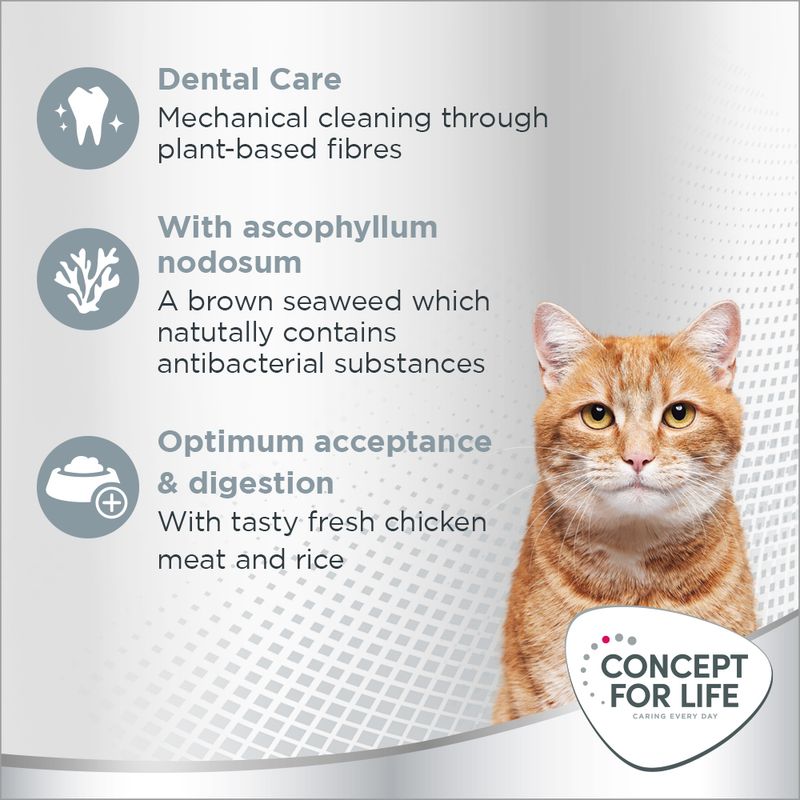 Concept for Life Oral Care 400g