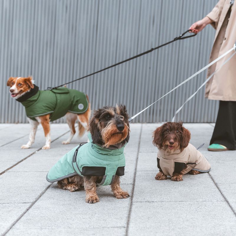 Nomad Tales Bloom Dog Coat - Granite approx. 35cm Back Length