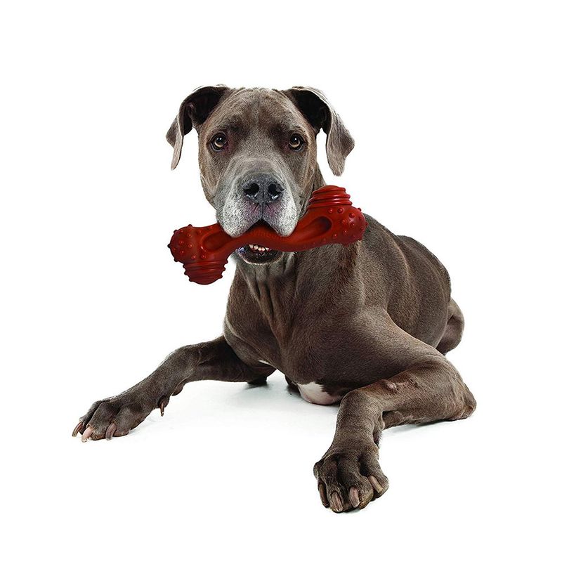 Nylabone DuraChew Monster Bone - Bison Large