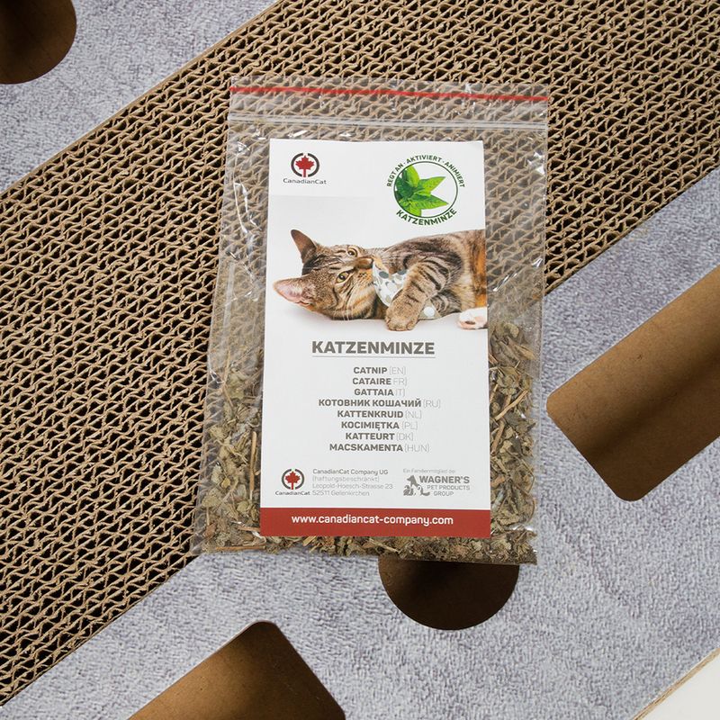 CanadianCat Company Cat Playground PlayPlate L 65 x W 35 x H 5.8 cm