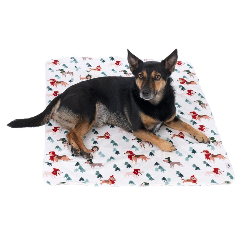 TIAKI Fun Winter Blanket for Dogs Set: Blanket for Dogs & Dog Pawrents