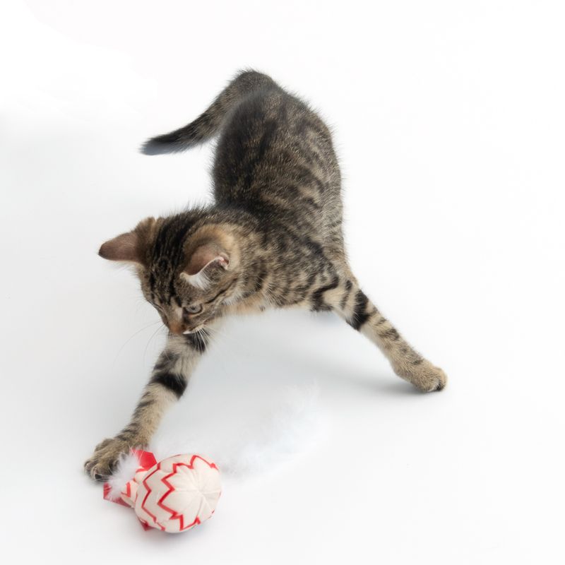 TIAKI Birthday Balloon Cat Toy 1 Balloon