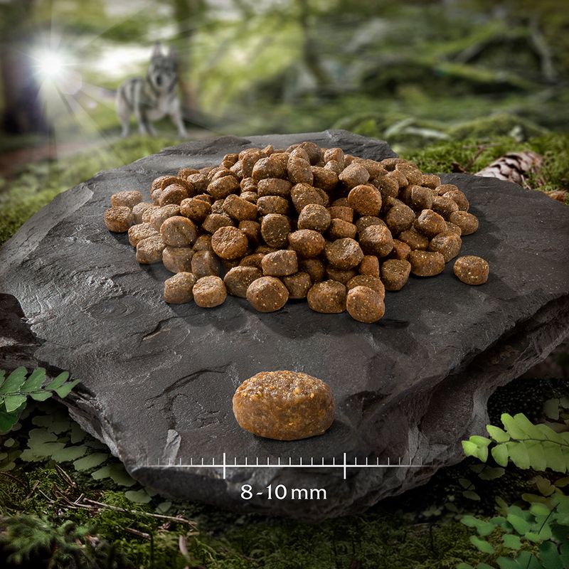 Wolf of Wilderness Adult Mini \