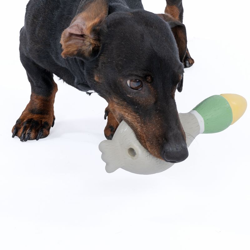 TIAKI Wild Duck Latex Dog Toy 19.5 x 7 x 5.5 cm (L x W x H)