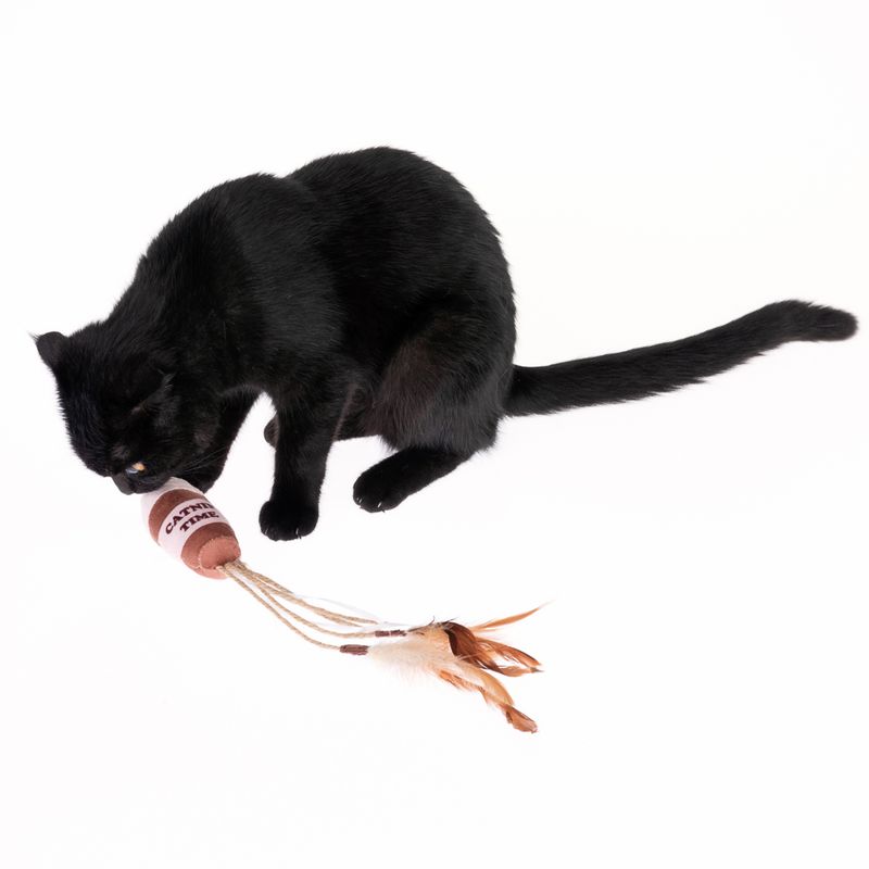 Cat Toy Coffee Mug with Catnip 1 piece