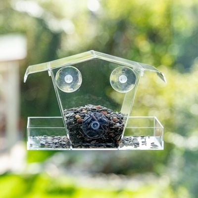 TIAKI bird feeder for the window L 15 x B 11 x H 23 cm