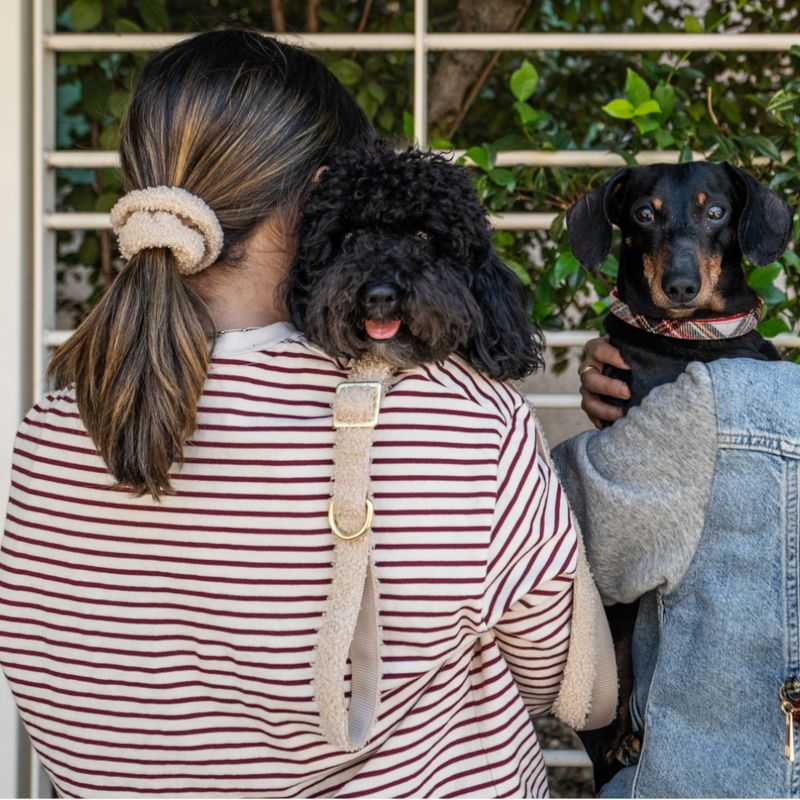 TIAKI Sherpa Collar, Lead & Scrunchie Large Size Collar: 42-66cm (Neck Circumference)