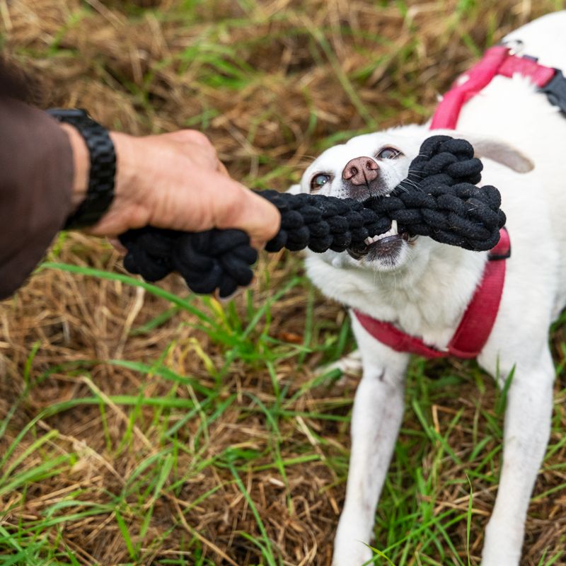 Modern Living Papua Rope Bone 30cm (L)