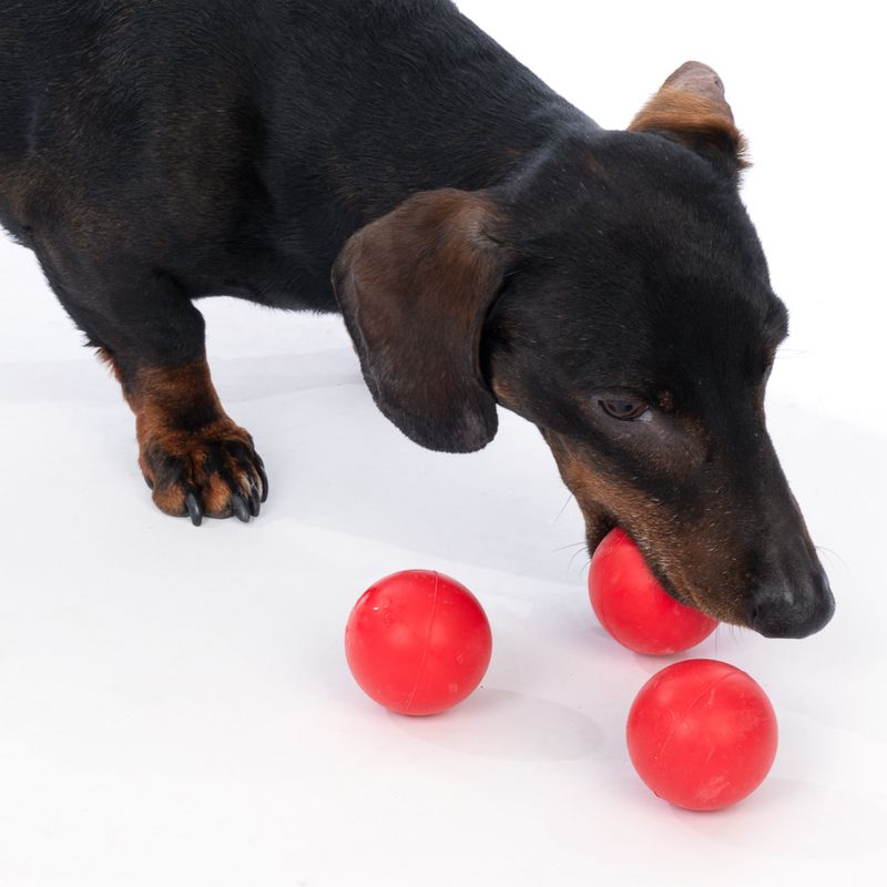 zooplus Basics Rubber Balls for Dogs Set of 3