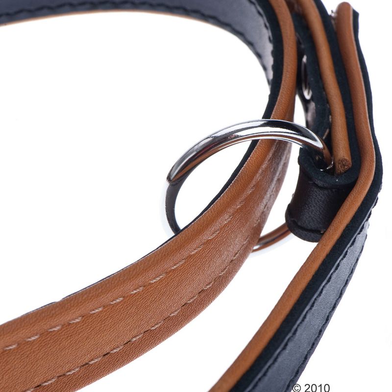 Heim Leather Lead & Collar Set - Stars Set 1