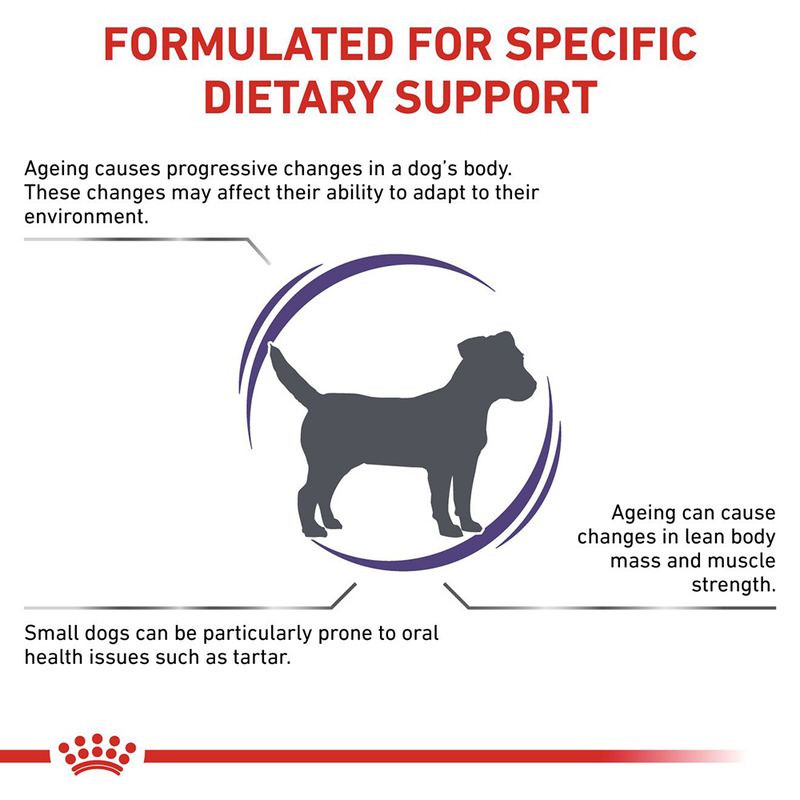 Royal Canin Expert Canine Mature Consult Small Dog 8kg
