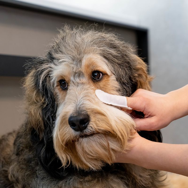 kooa Sensitive Ear & Eye Finger Pads 50 pads