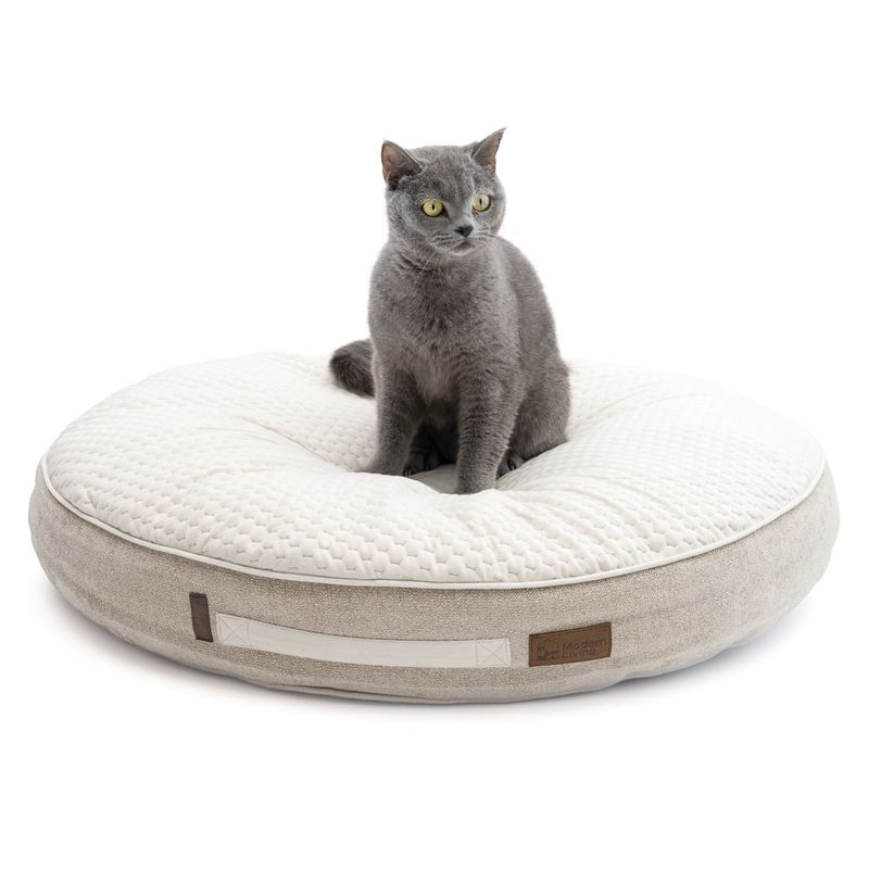 Modern Living Salvo Cosy Cushion diameter 76 x (H) 12 cm