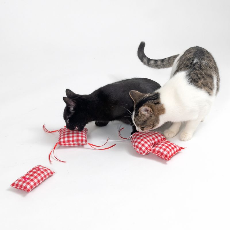 TIAKI Vichy Catnip Pillow 4-piece set