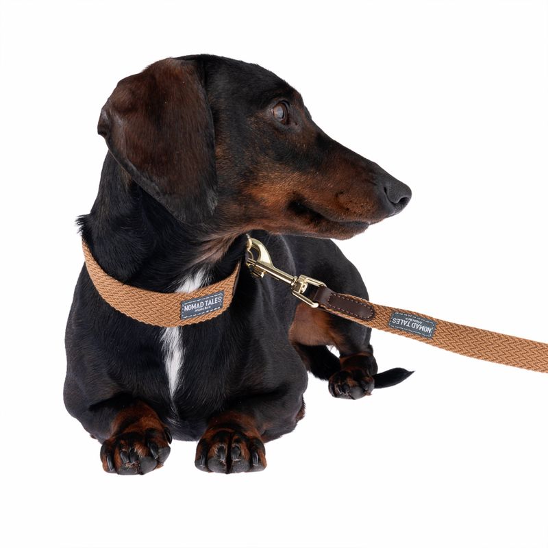 Nomad Tales Bloom Collar, caramel Size M: 40 - 46 neck circumference, W 32 mm