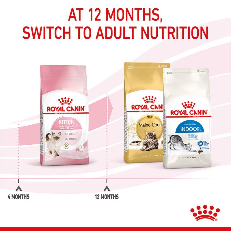 Royal Canin Kitten 400g
