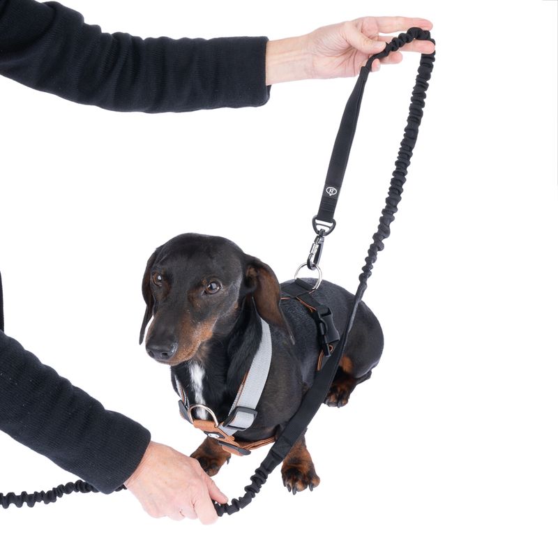 Nomad Tales Spirit Multifunctional Lead 206 - 270 cm long, 20mm wide