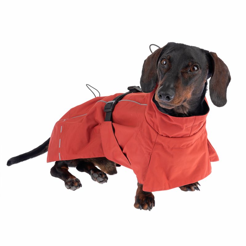 Nomad Tales Spirit Dog Raincoat - Copper approx. 40cm Back Length