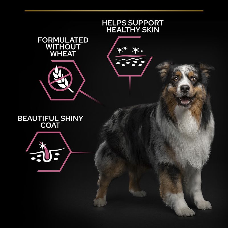 PURINA PRO PLAN Medium Adult Sensitive Skin 3kg