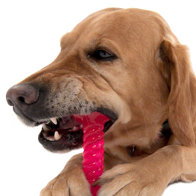 Thermoplastic Rubber Dog Toy Bone approx. 14cm