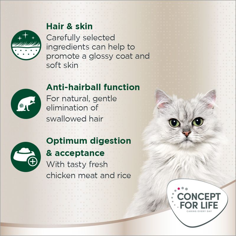 Concept for Life Persian Adult 400g