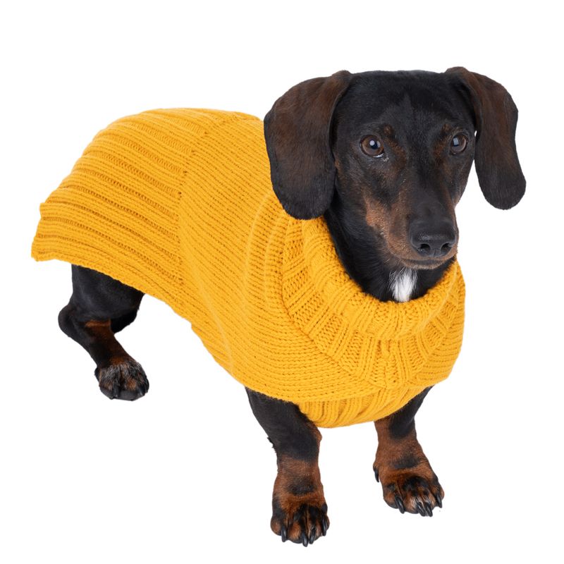 TIAKI Gold Dog Jumper approx. 35cm (Back Length)