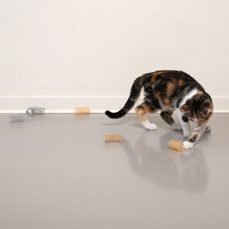 TIAKI Golden Spiral Cat Toy Set 12er Set