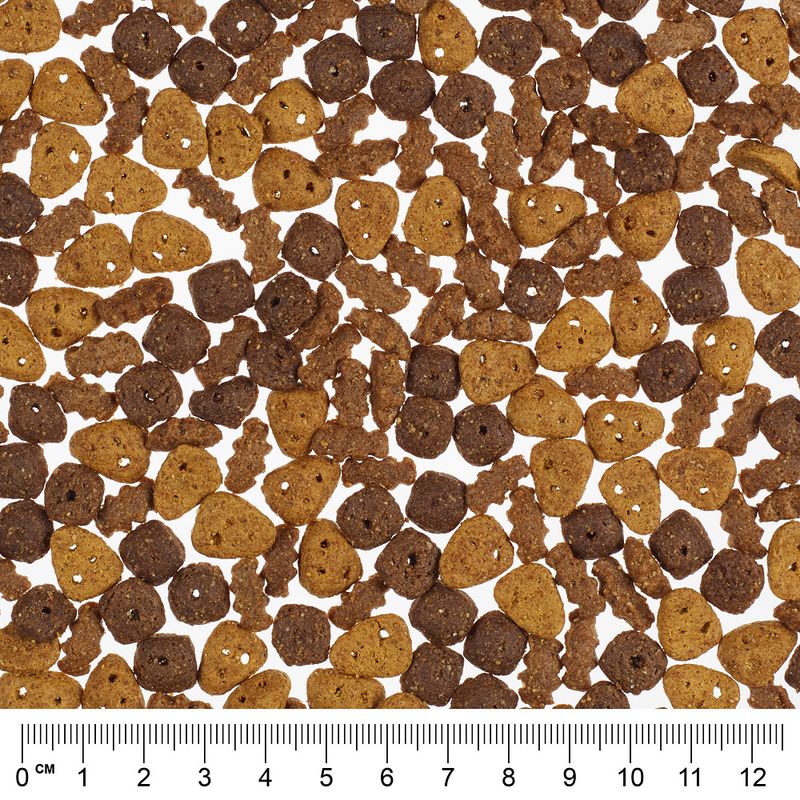 Catessy Crunchy Snacks 65g with Duck, Turkey & Chicken