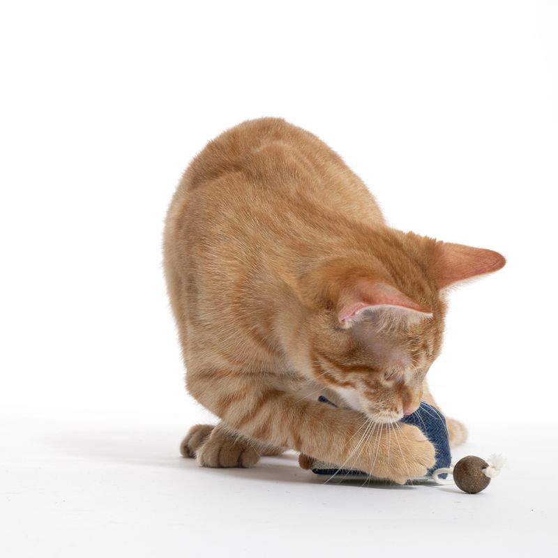 TIAKI Electronic Play Mouse for Cats 1 Toy