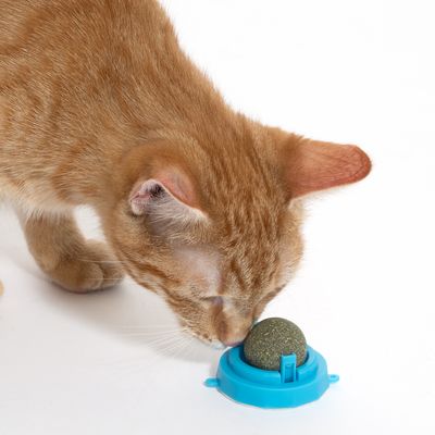 zooplus Basics Catnip Ball Blue